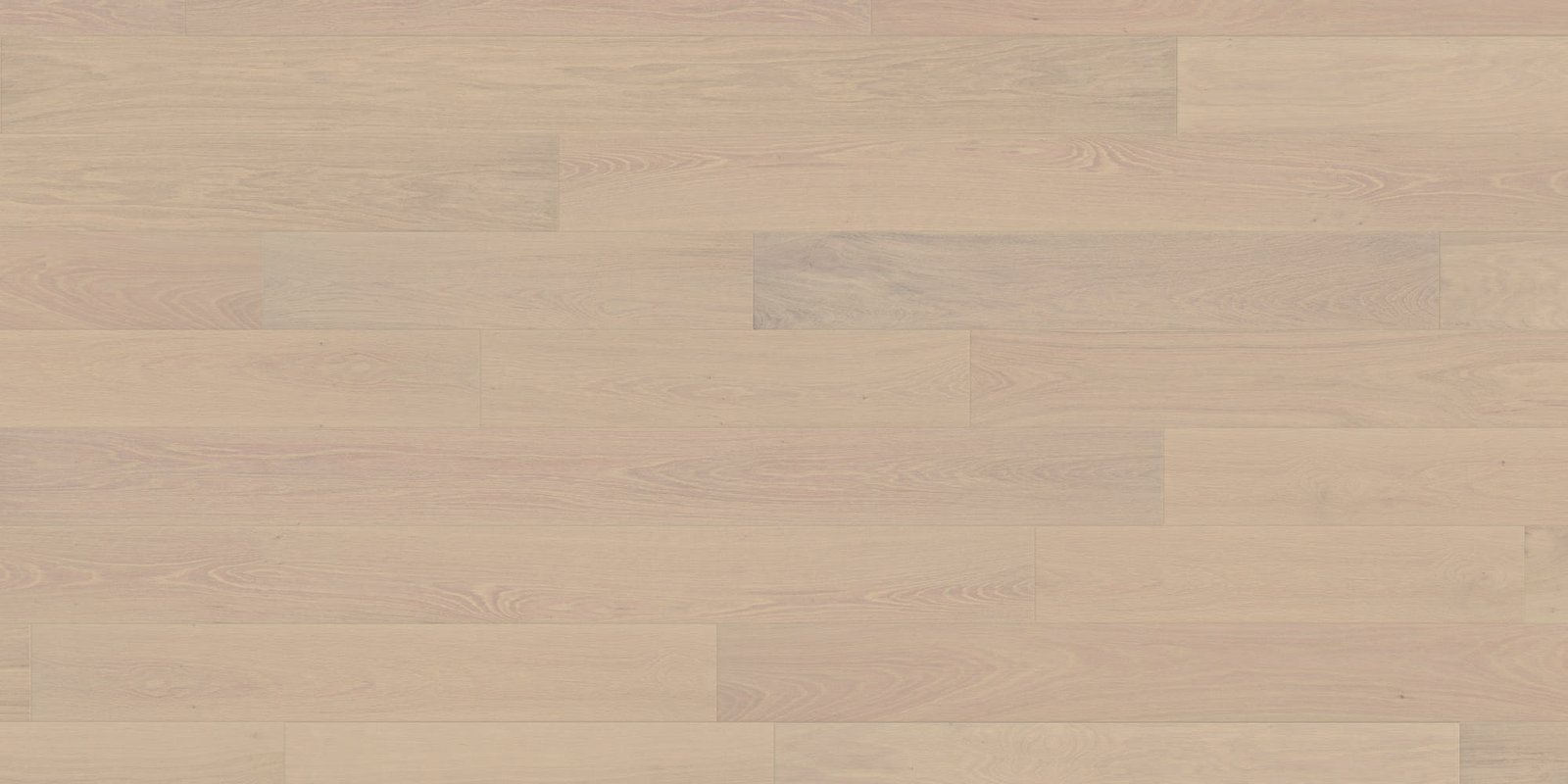 E21014OVERVIEW6125.jpg