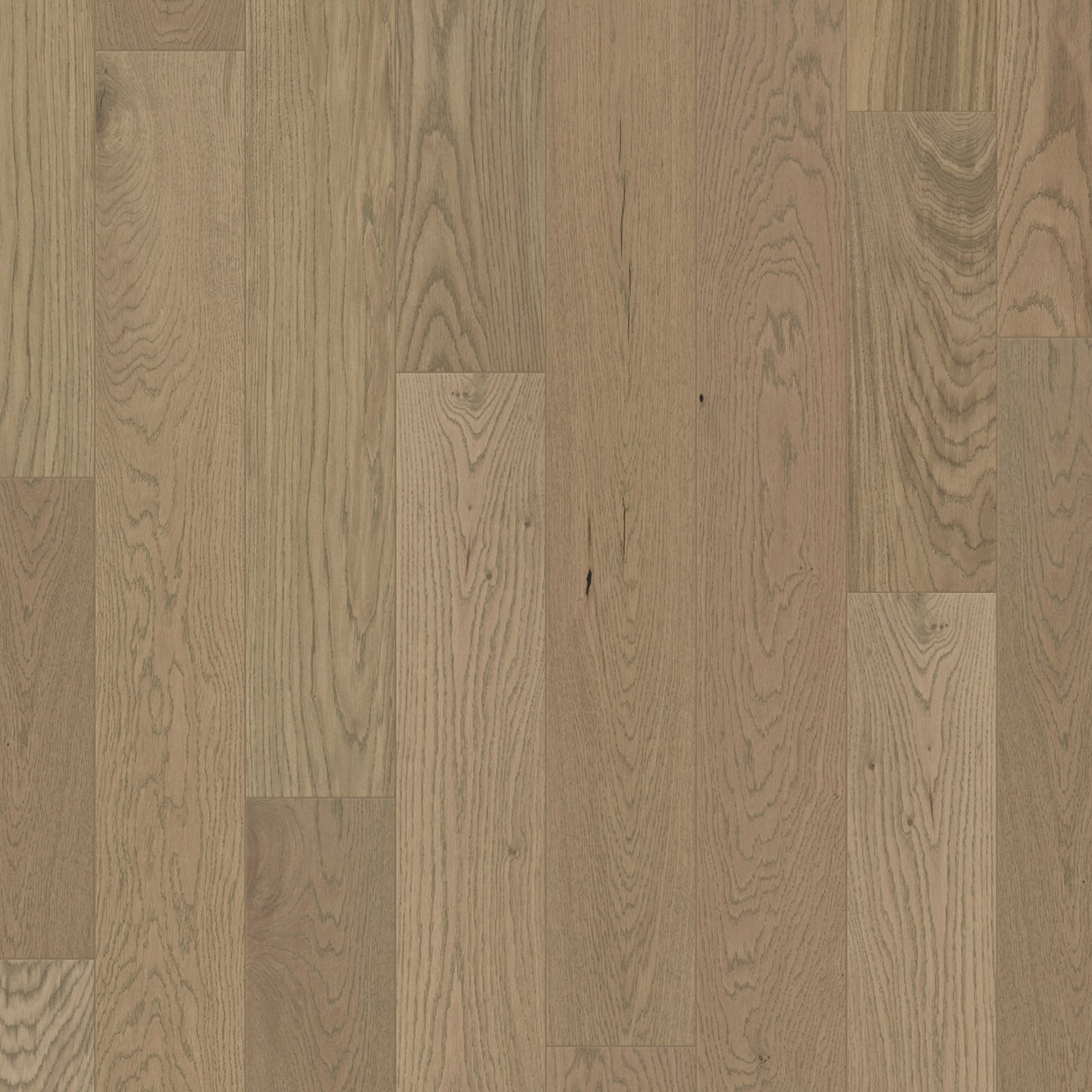 E21016MAIN6125.jpg