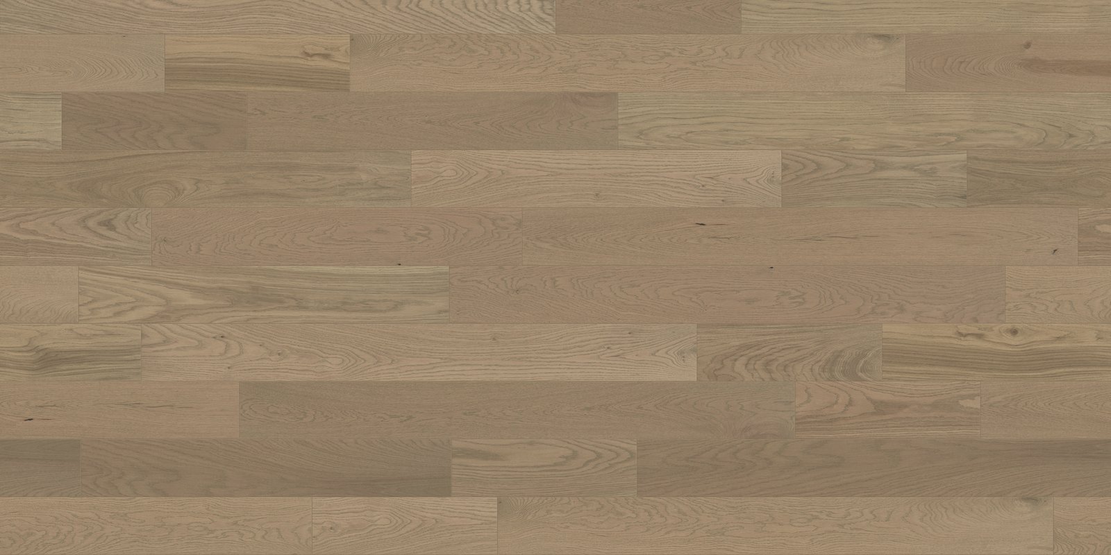 E21016OVERVIEW6125.jpg